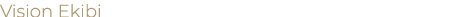 Vision Ekibi