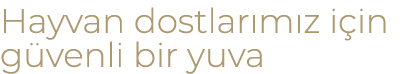 Hayvan dostlar m z i in g venli bir yuva